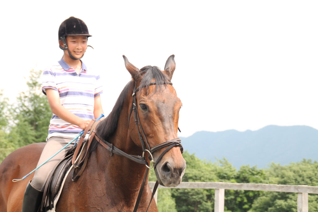 谷口牧場養老牧場で馬に乗る少女の写真