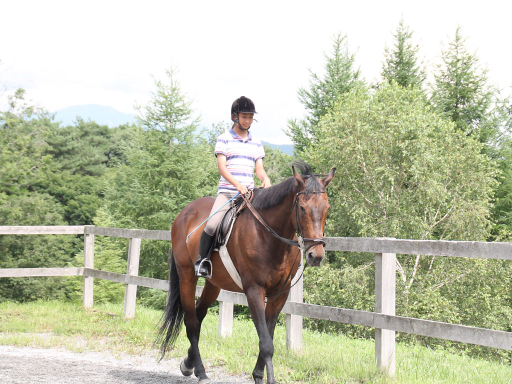 谷口牧場養老牧場で歩く馬の写真